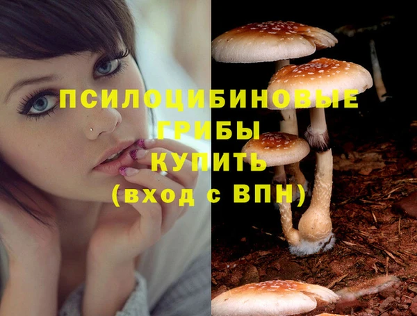 apvp Лагань