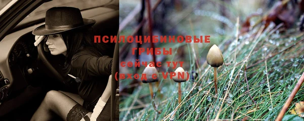 mdpv Магас