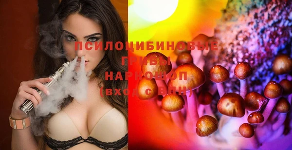 PSILOCYBIN Пыталово