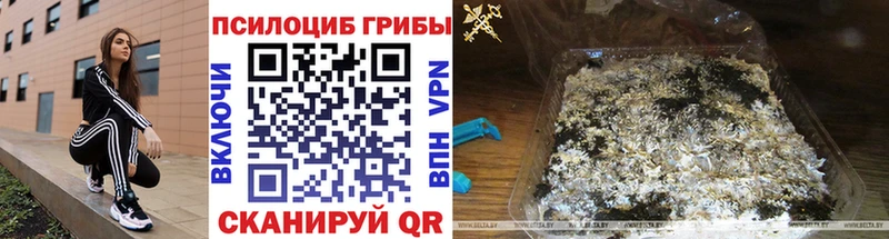 Псилоцибиновые грибы мицелий  Сосновый Бор 