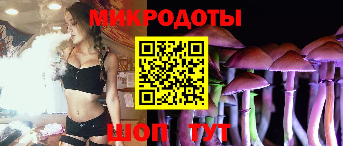 APVP Сосновый Бор