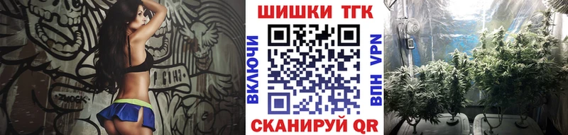 сколько стоит  Сосновый Бор  blacksprut зеркало  Каннабис сатива 